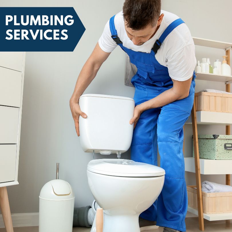 Plumbing Company in Springville, IA